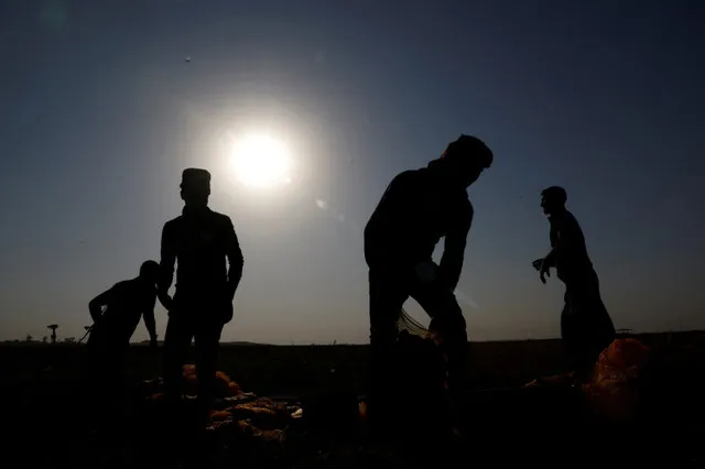 The FAO and WMO report that rising temperatures are damaging crops and livestock globally. This trend threatens the livelihoods of over one billion people.