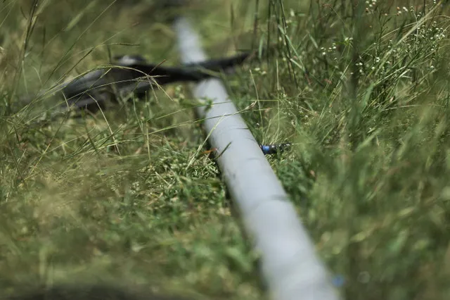 India is testing the e-rupee to distribute farm subsidies and food aid directly to citizens. The pilot aims to reduce fraud and eliminate upfront costs for farmers.